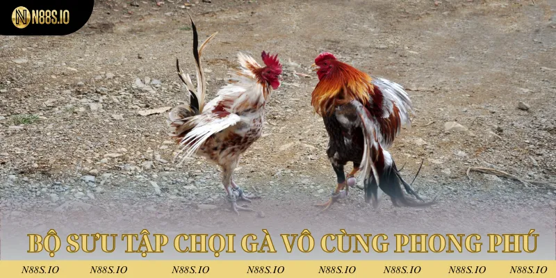 Đá Gà N88 4 Bộ sưu tập loại hình chọi gà vô cùng phong phú